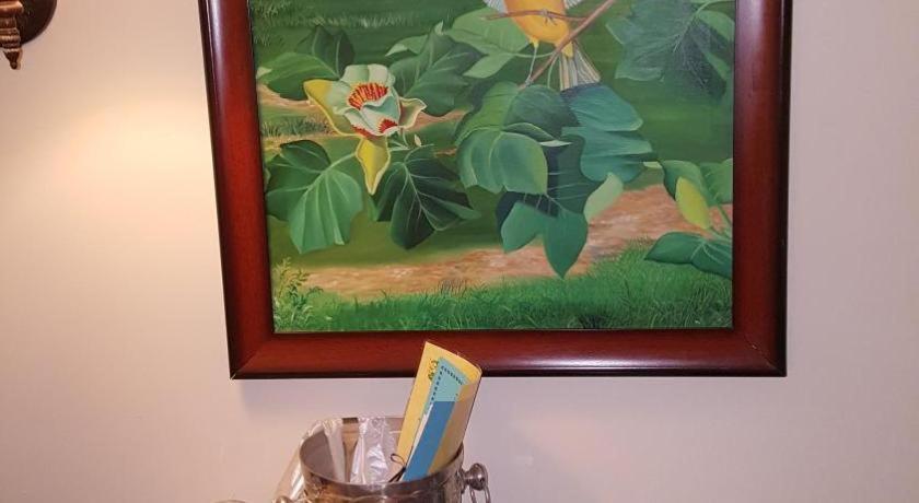 ザ カリビアン コート ブティック ホテル ベロ・ビーチ エクステリア 写真